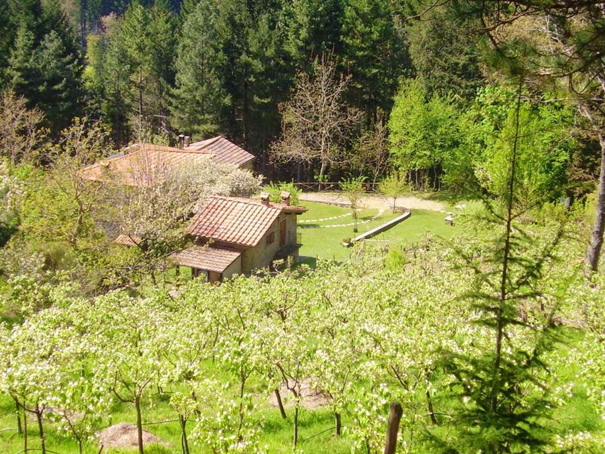 Comfortable House In Bibbiena + Pool Exteriör bild
