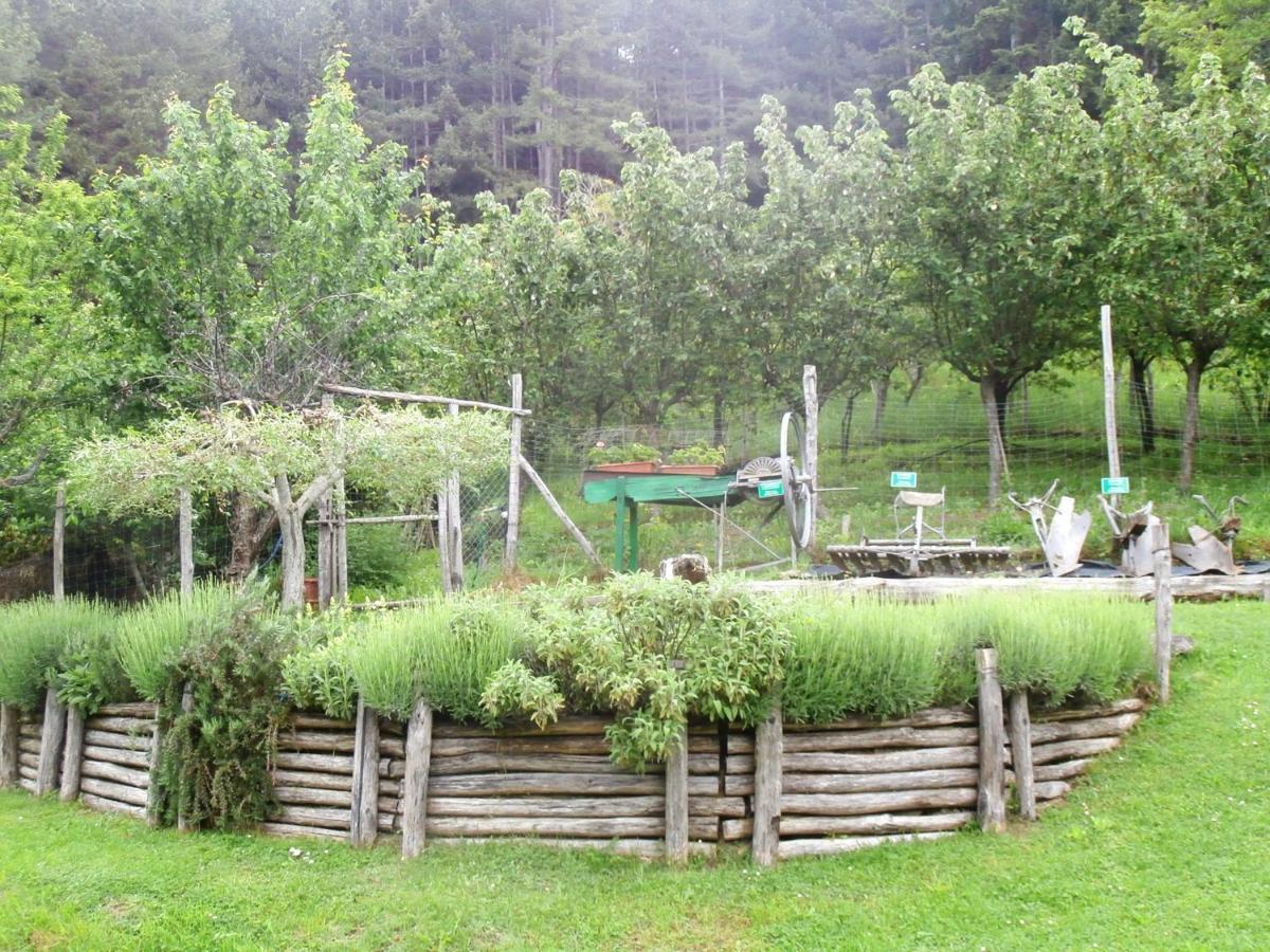 Comfortable House In Bibbiena + Pool Exteriör bild