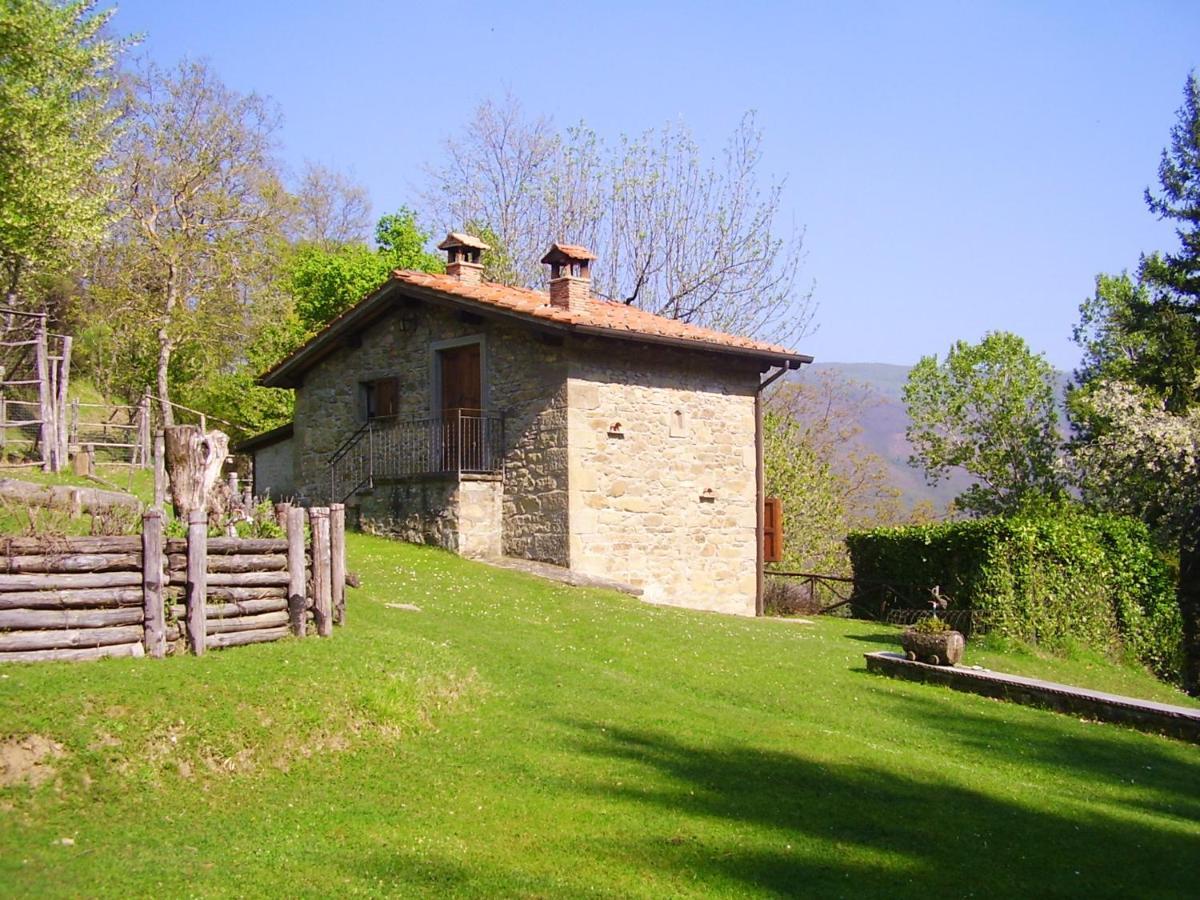 Comfortable House In Bibbiena + Pool Exteriör bild