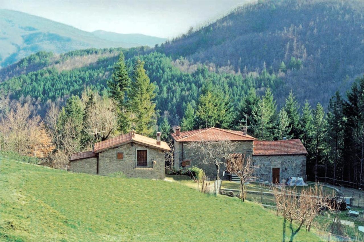Comfortable House In Bibbiena + Pool Exteriör bild